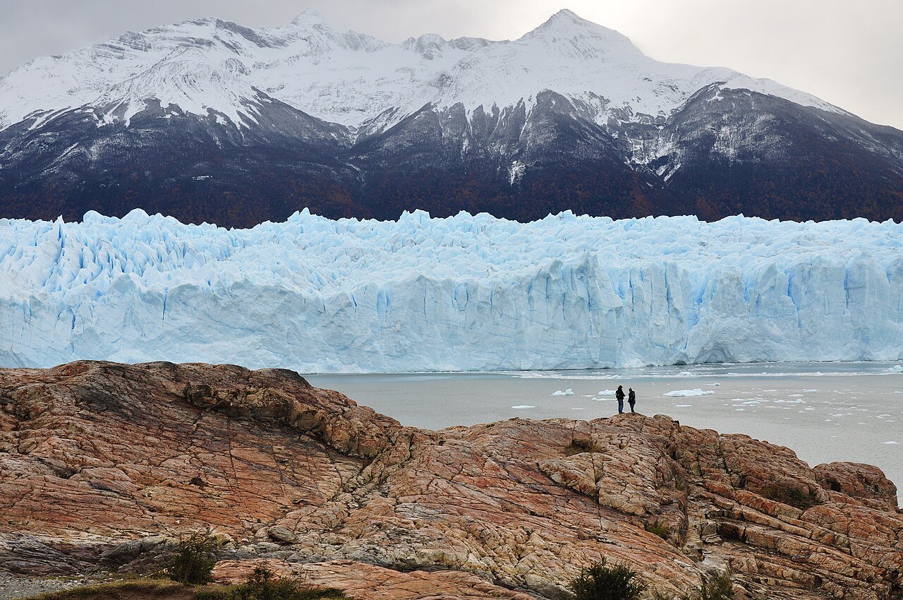 Patagonia Premium