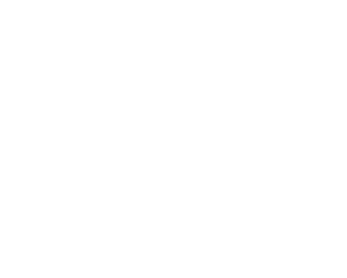 logo_vdv_footer